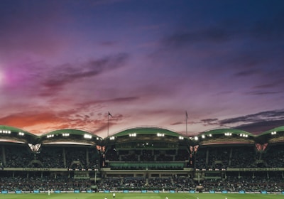 Cricket match in a stadium